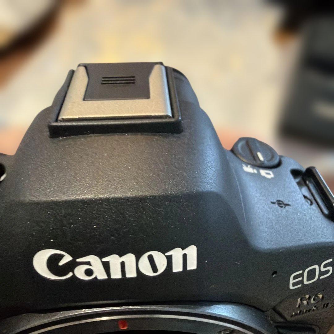 【美品】Canon EOS R6 Mark II 本体/ 充電器　sdカード