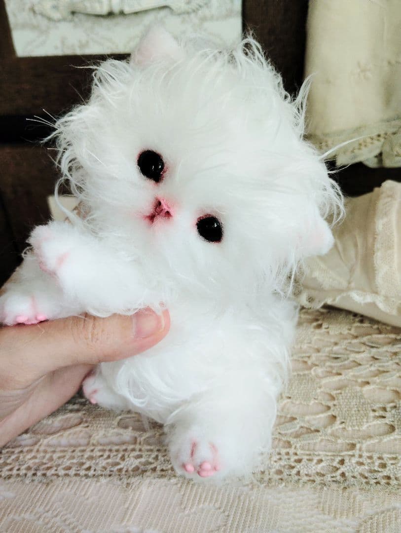 セルカークレックス子猫♡よちよち期♡癖っ毛のララちゃん♡アートドール♡ぬいぐるみ