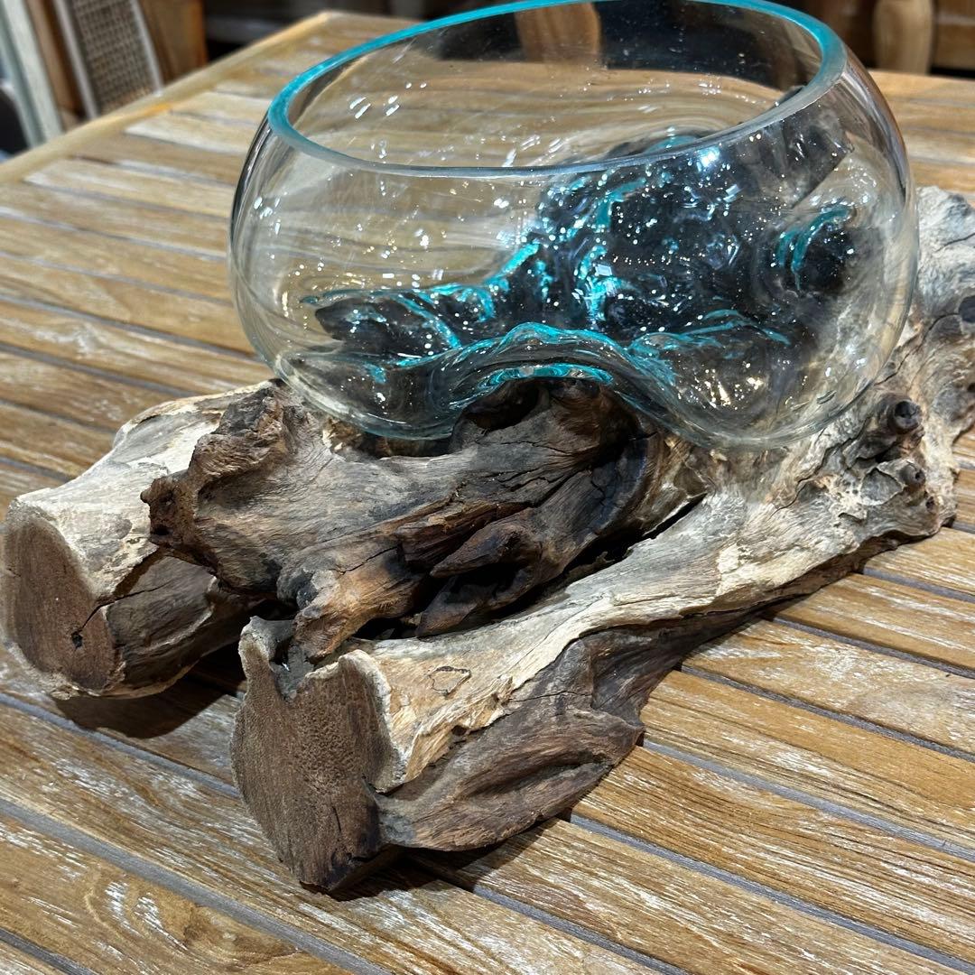 【送料込】バリ島流木ガラス　ガラスΦ21cm前後 苔リウム252Bアクアリウム