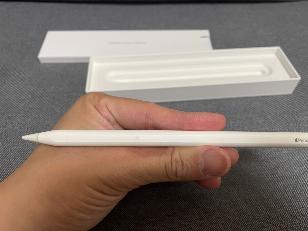 猫*人様 Apple Pencil ホワイト 2nd gen