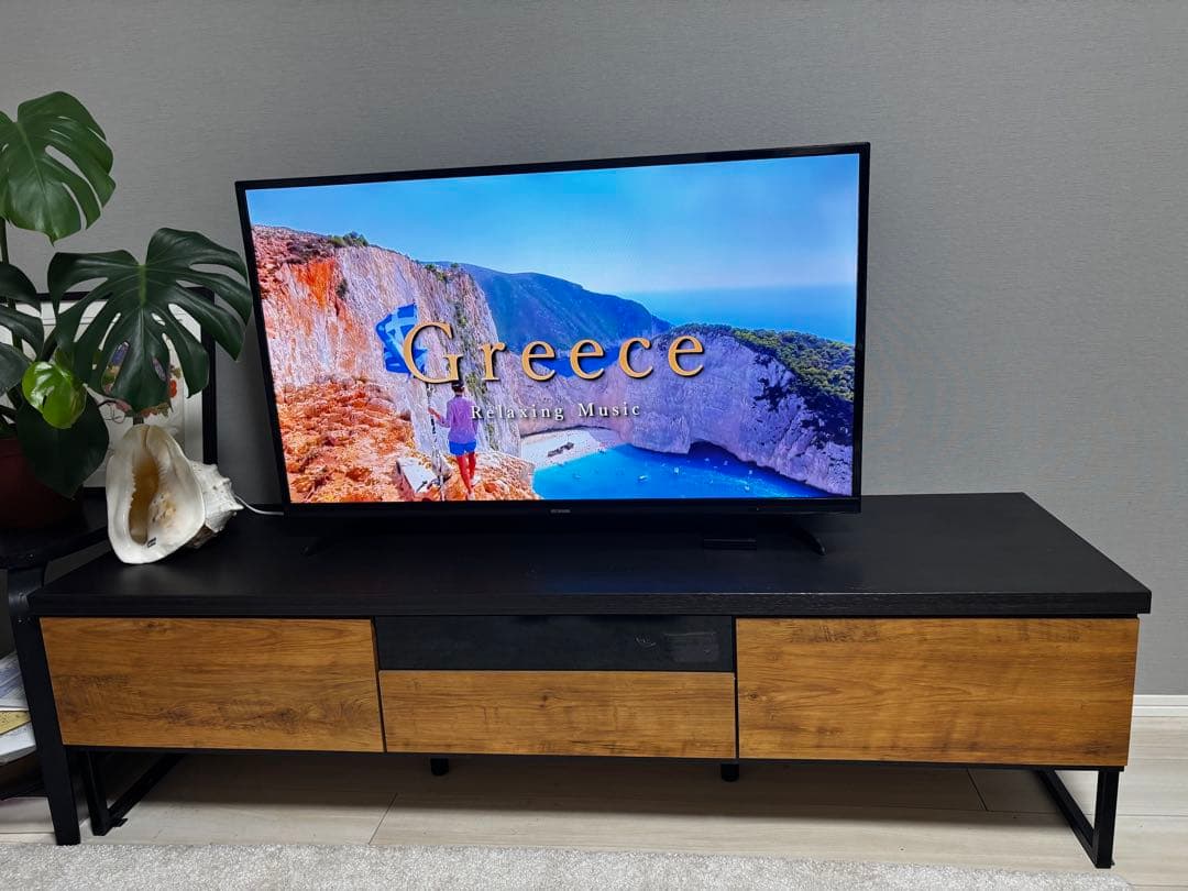 IRISOHYAMA アイリスオーヤマ テレビ　40型　LT-40A420