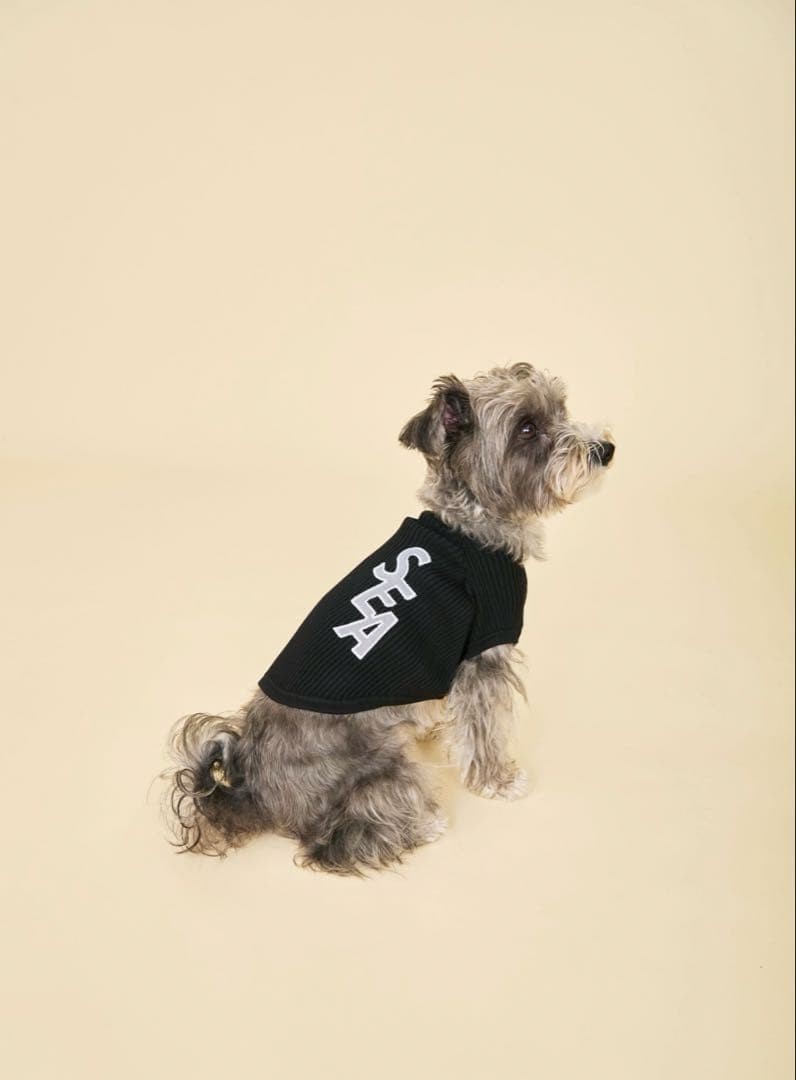 犬服・アクセサリー WIND AND SEA DOG SEA PATCH SWEATER S