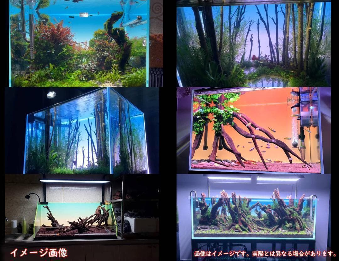 WRGB ライトスクリーン 60cm×36cm 水槽 スクリーンライトA2291