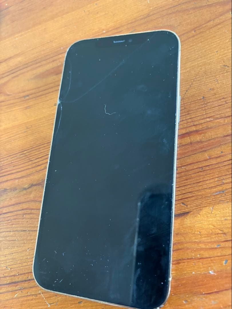 iPhone12 Promax CASETIFYのケースおまけ