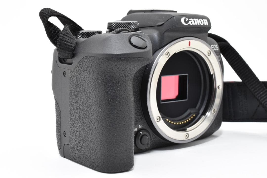 【超美品】Canon キャノン EOS R10 ミラーレス一眼カメラ #474
