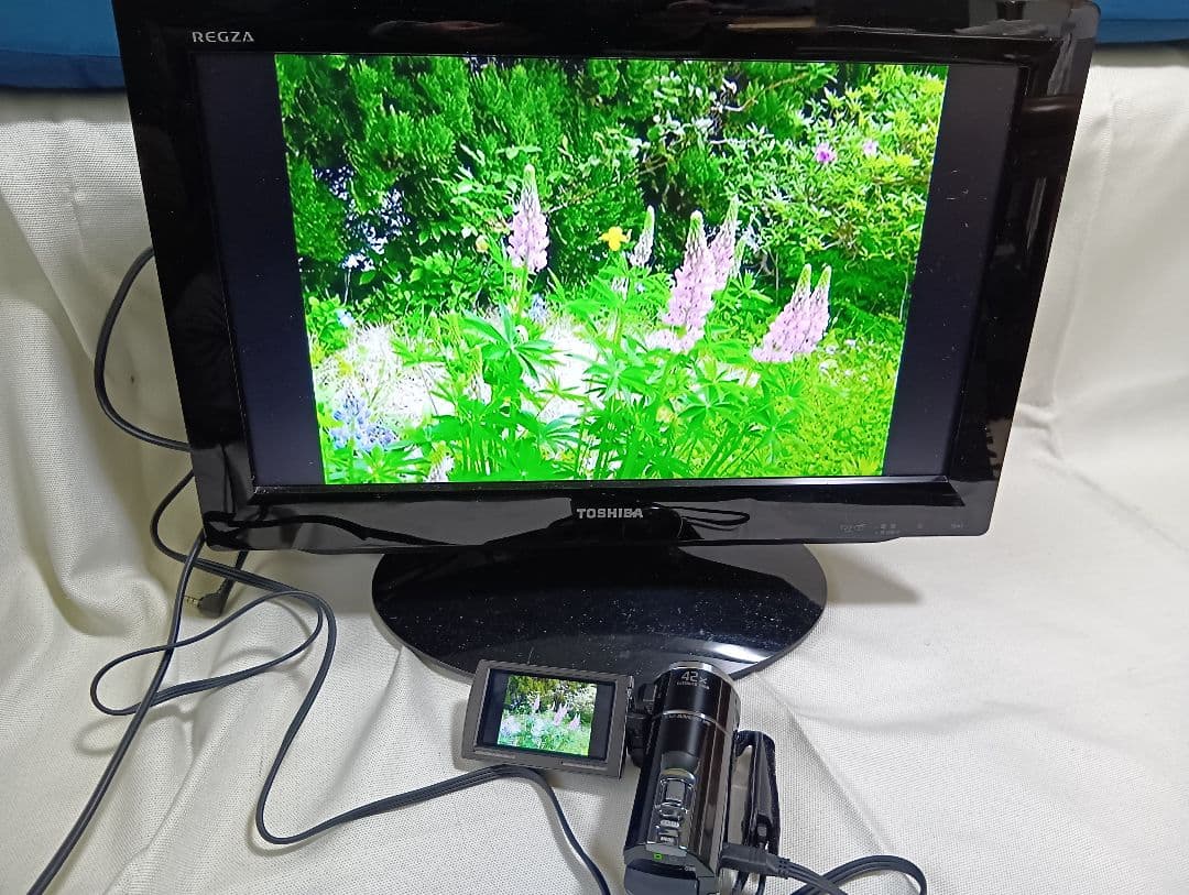【動作確認済み】ソニー ビデオカメラ SONY HDR-PJ20