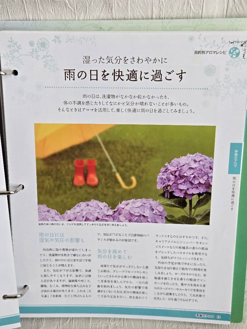 やさしいアロマ生活 冊子1-38号 アロマオイル 13本 期限切5本 セット売り