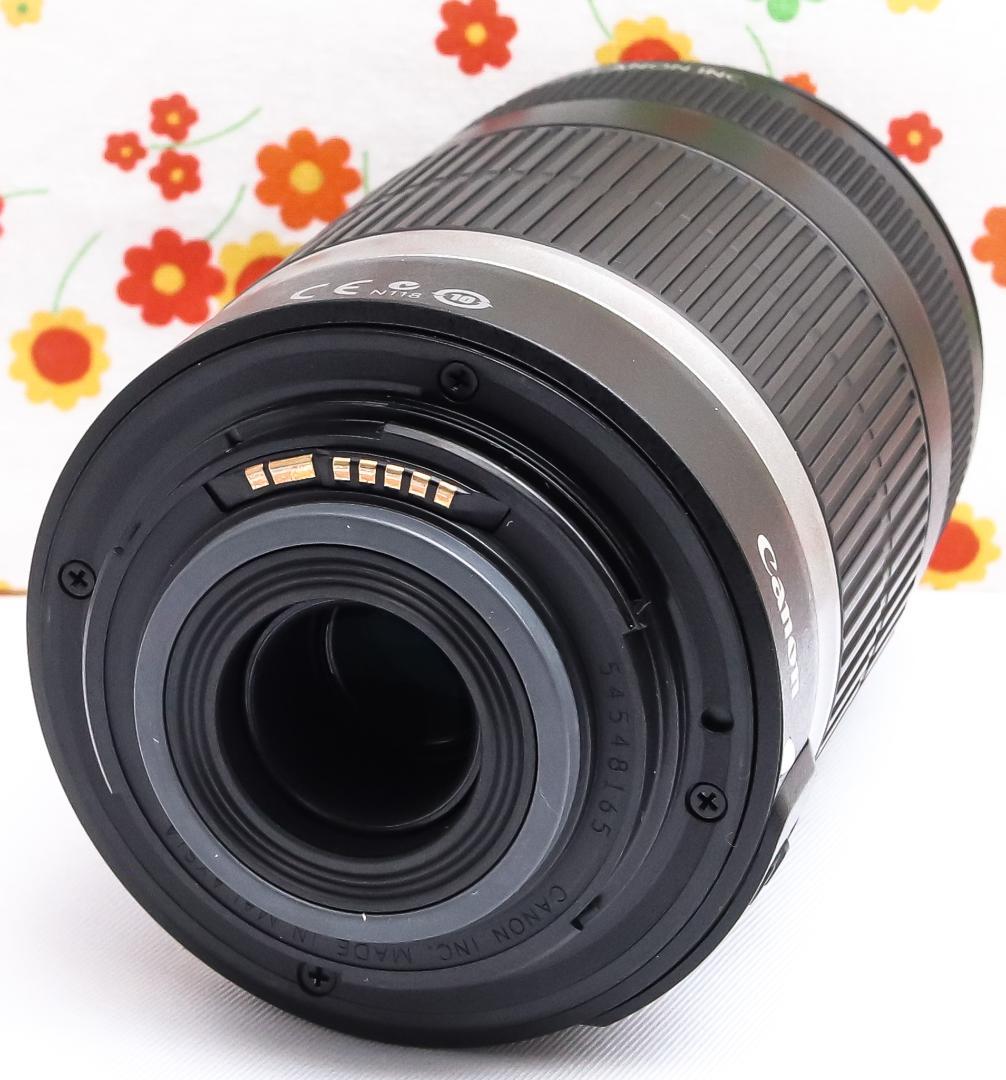 キャノン Canon EF-S 55-250mm IS☆お手軽望遠レンズ♪