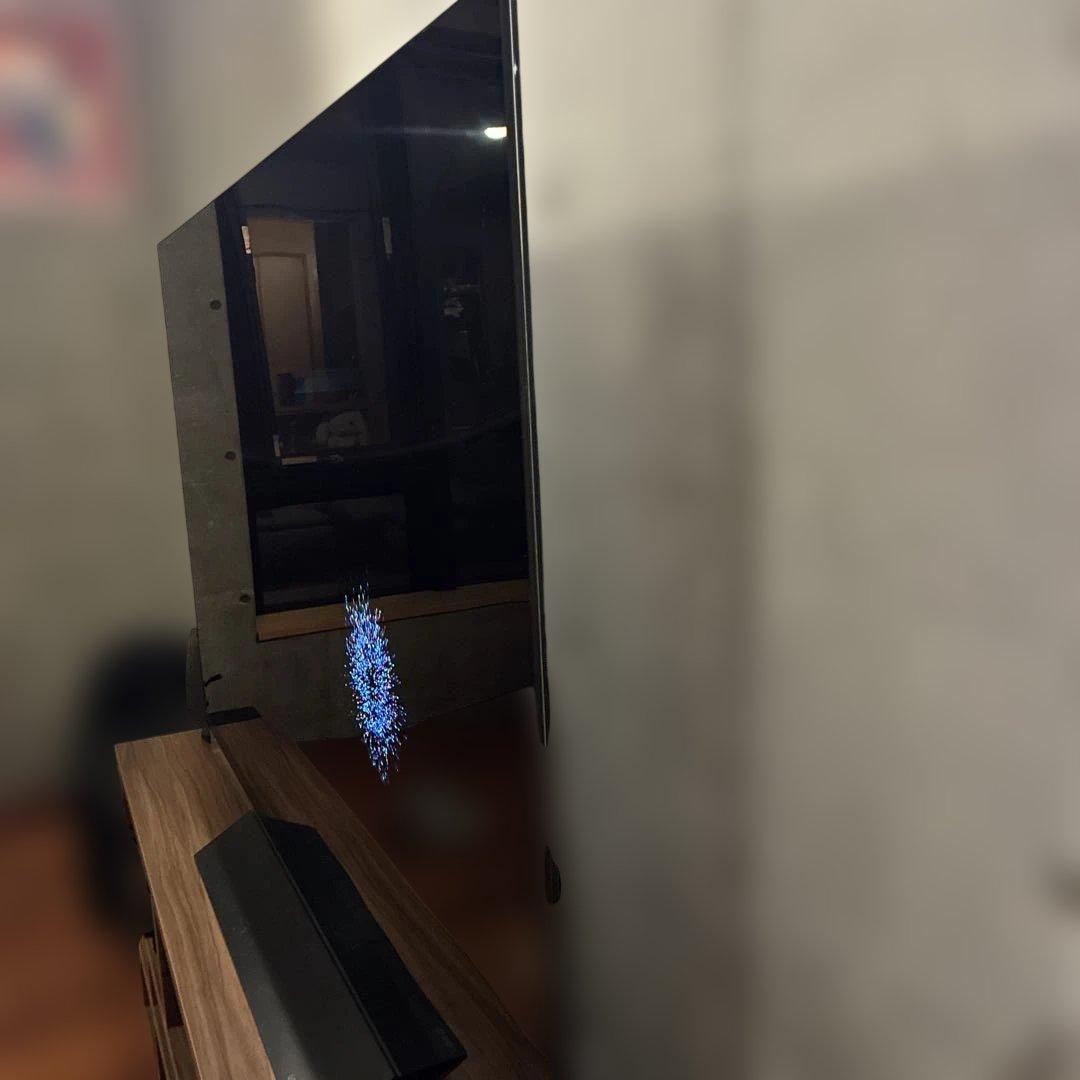 LG 有機ELテレビ 65インチ OLED65E8PJA webOS