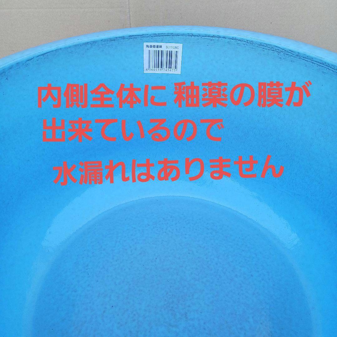 新品　特大51x48　陶器　睡蓮鉢　メダカ鉢　難有　ラリマーブルー　水色　LWC