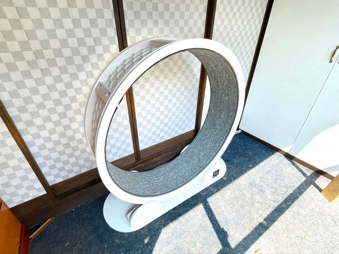 キャットホイール　猫用　回し車　ほぼ新品　直径96cm　LEDレーザーおもちゃ付