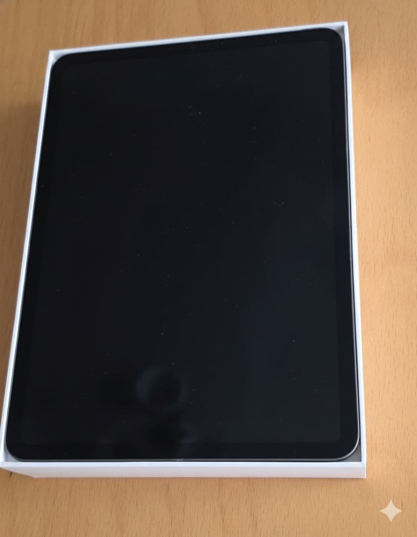 ギ*カ様 iPad Pro 11インチ 512GB