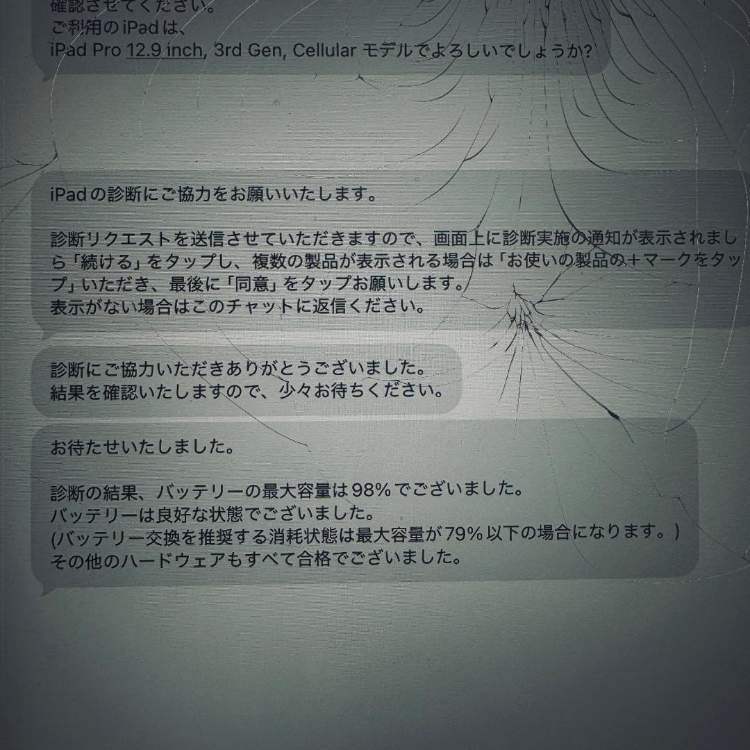 iPad Pro 12.9 第3世代 64GB【画面ひびあり】ジャンク