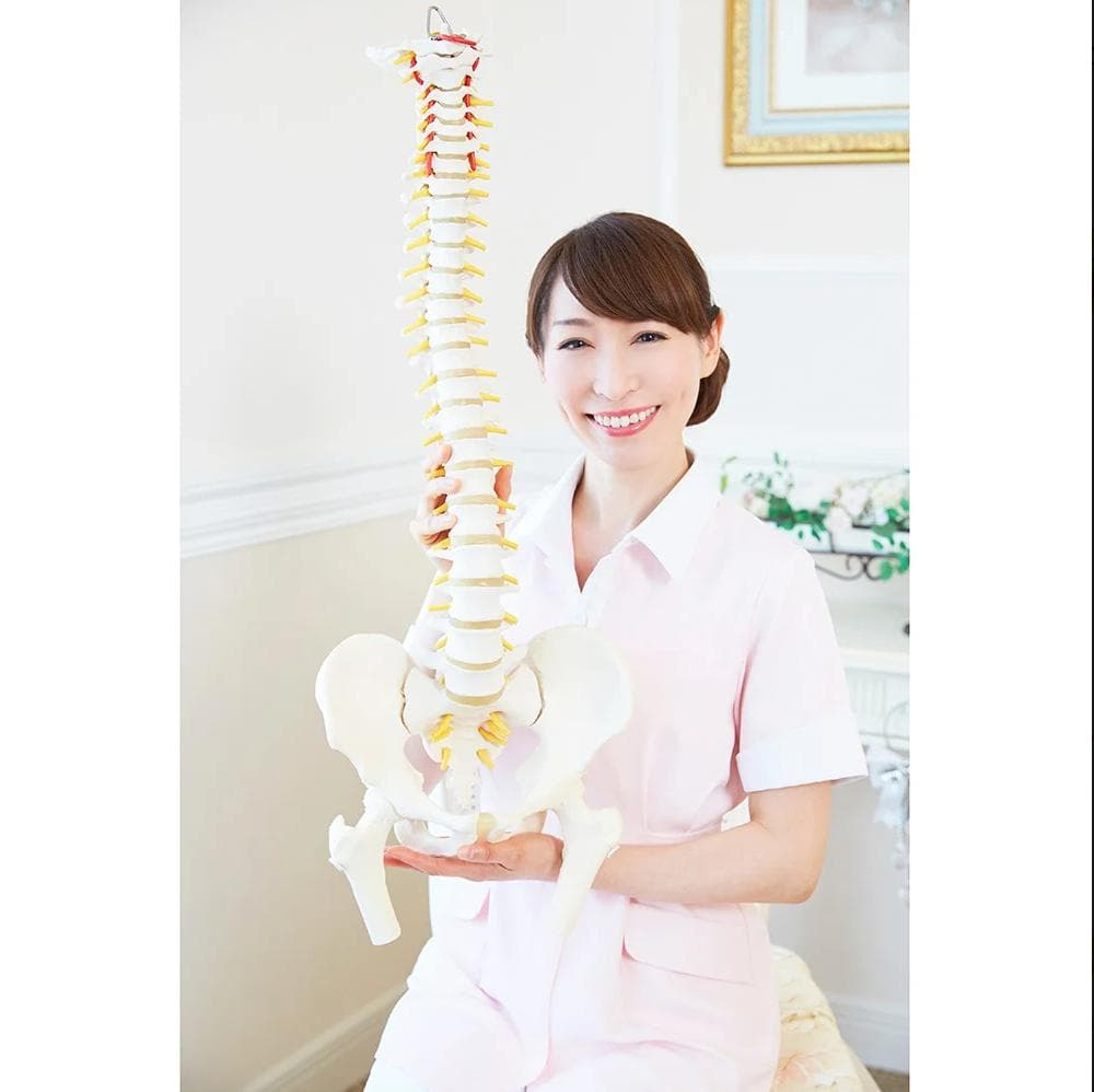 【新品】芦屋美整体　骨盤エアーリセットベルト 　レッド