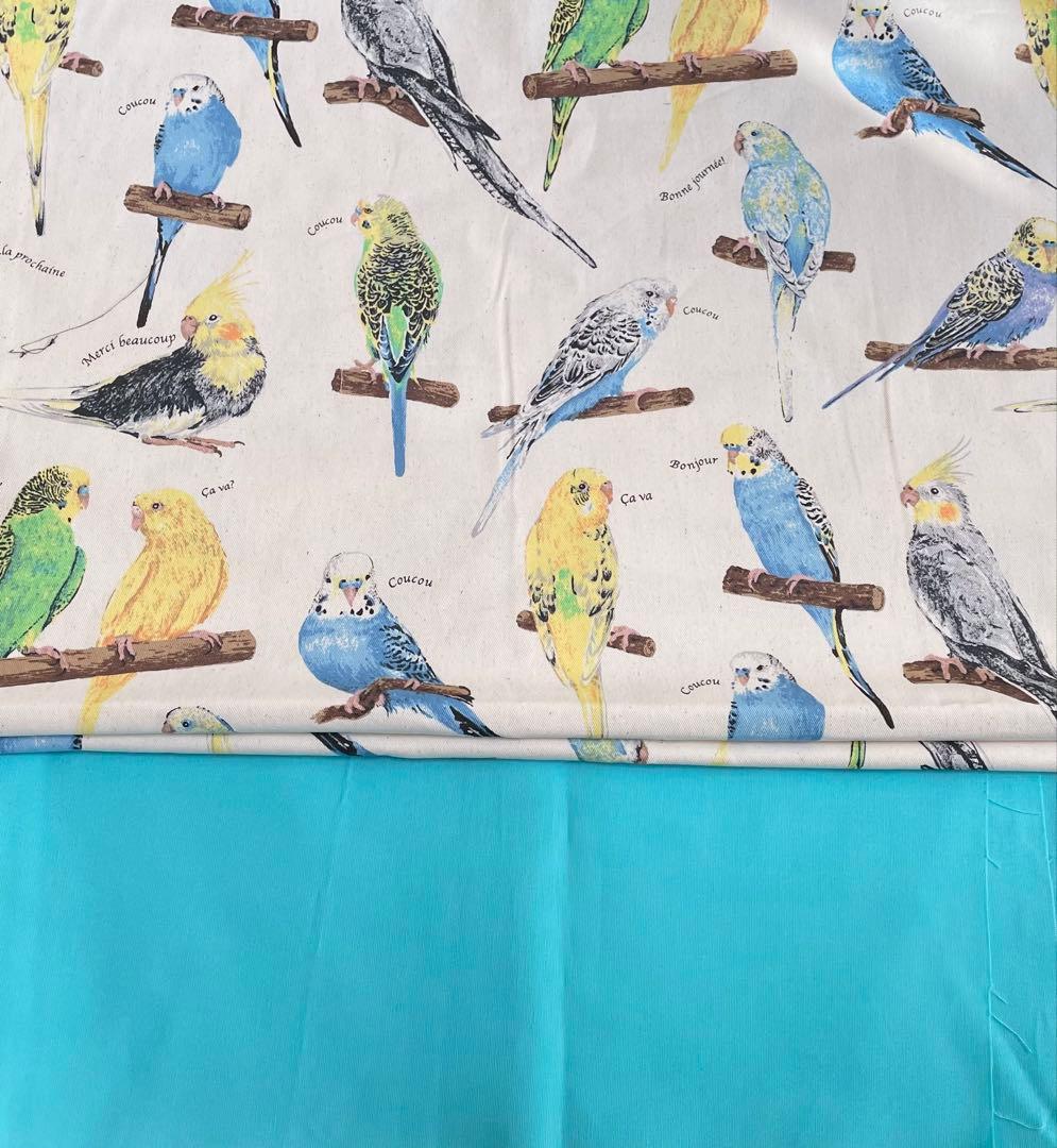77 インコ　レッスンバック　シューズケース