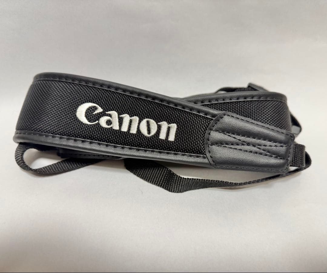 Canon EF300mm F2.8L IS II USM 安心メンテ済 超美品