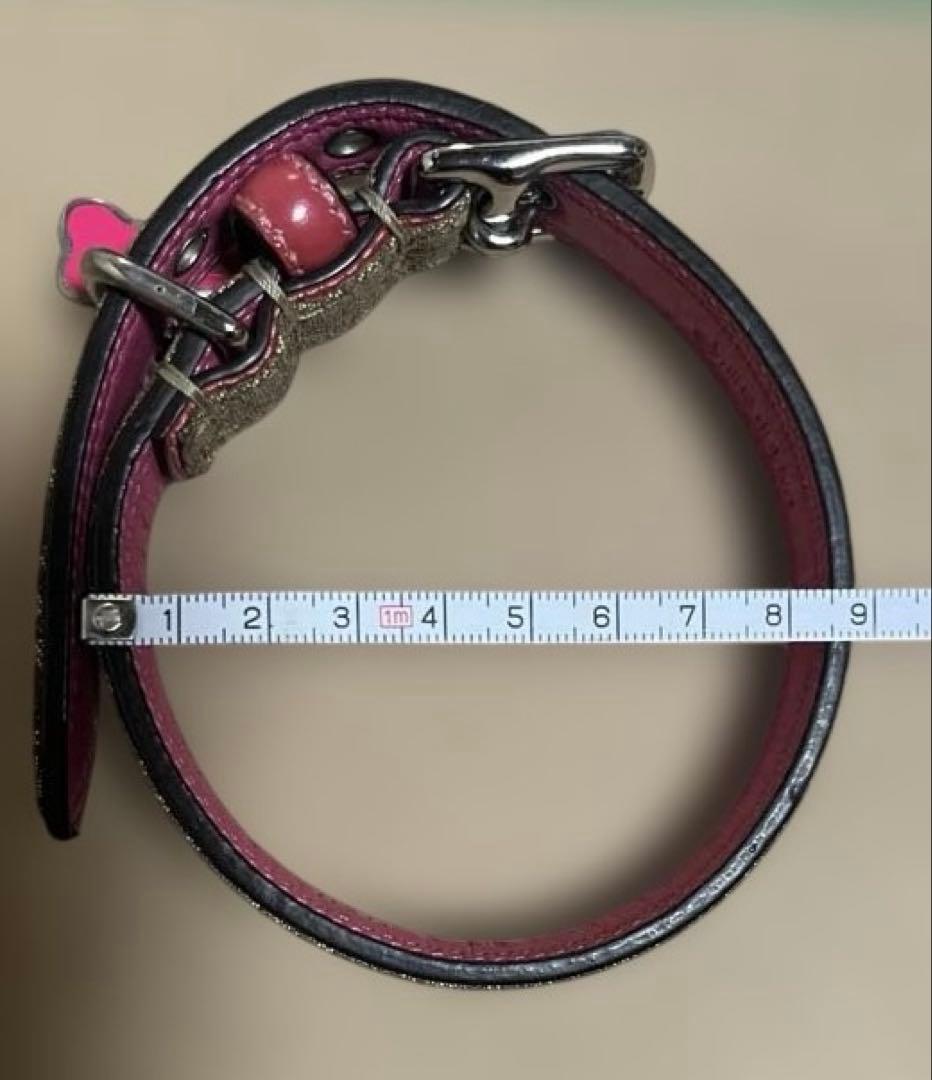 首輪・リードセット COACH