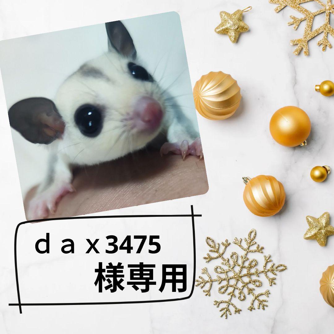 R_009_カメレオン用メッシュケージ（中古穴あり）3ゲージおまとめ