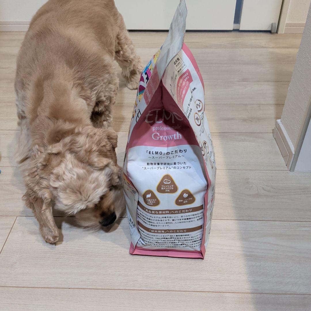 ELMO 子犬用ドライフード 3kg