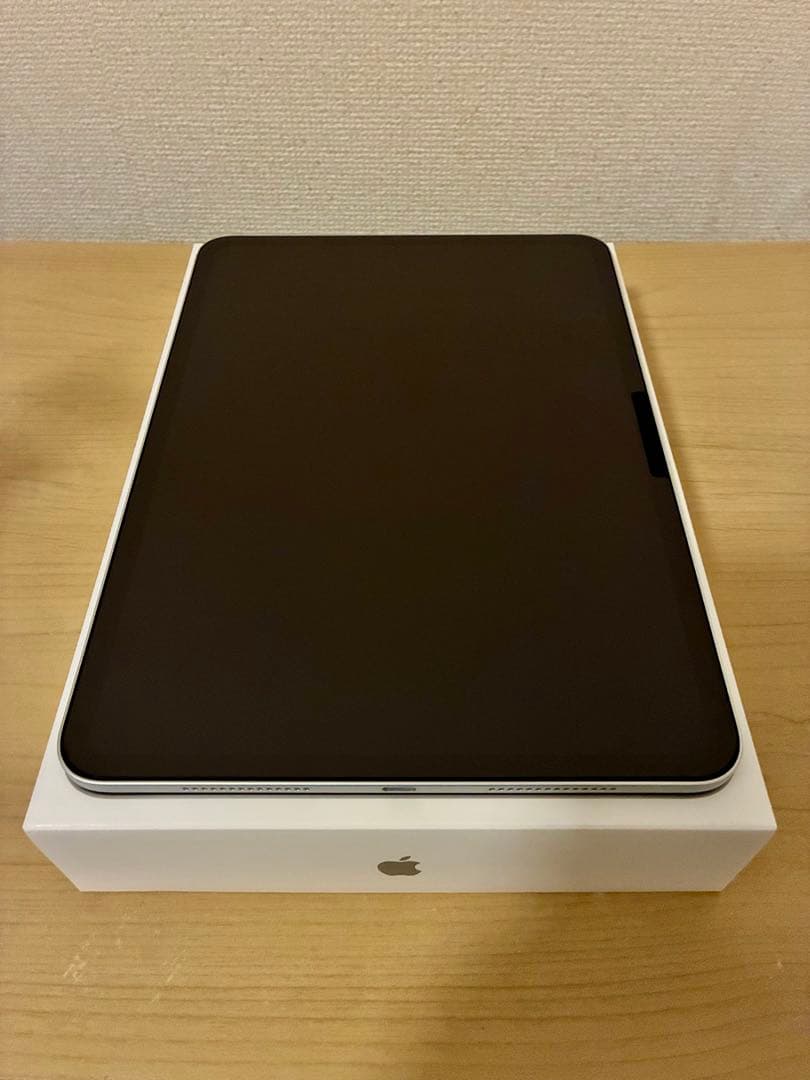 11インチiPad Pro Wi-Fiモデル 256GB おまけ付き 中古
