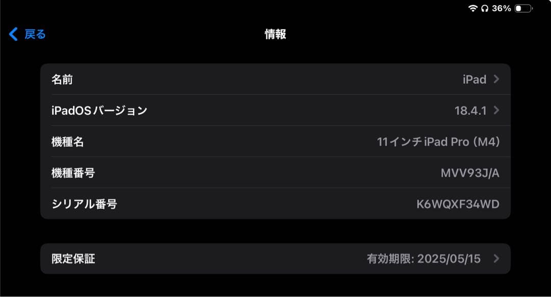 11インチiPad Pro Wi-Fiモデル 256GB おまけ付き 中古