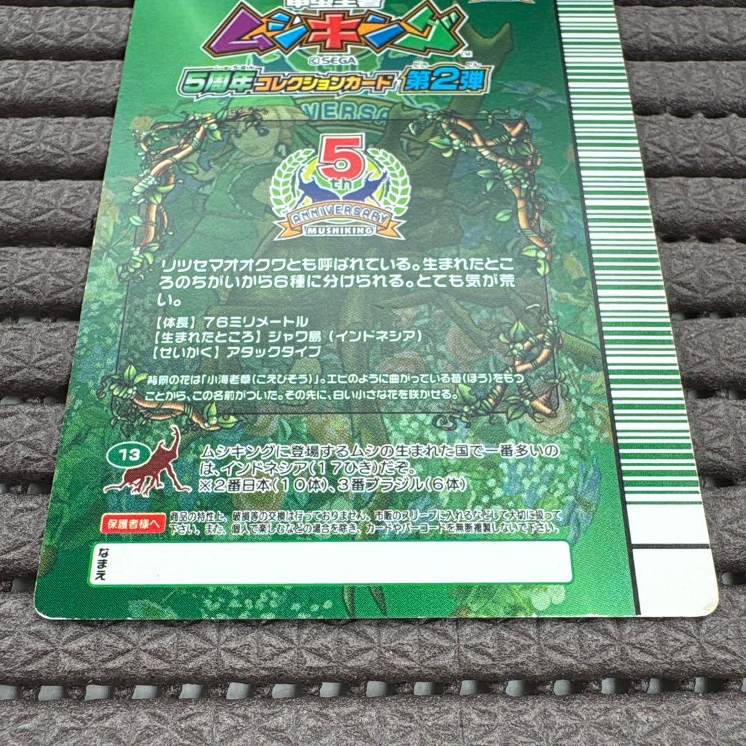 希少 ムシキング パリーオオクワガタ ウィニングショット 5周年コレクション