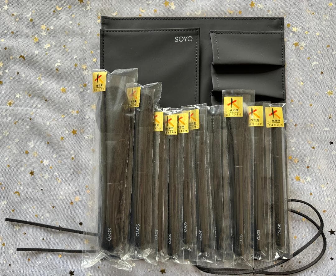 SOYO ディスカバー10本セット＋ケース付 小田切ヒロ プロデュース
