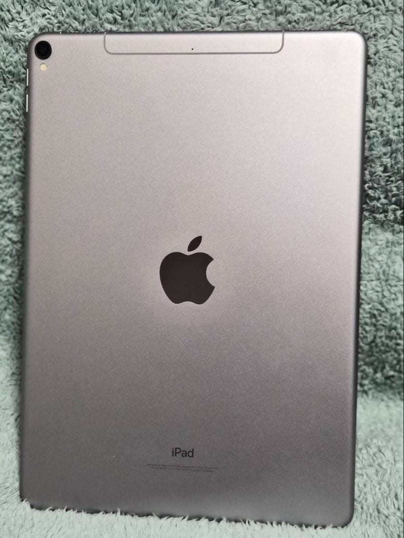 iPad Pro 10.5インチ 256GB Wi-Fi + Cellular