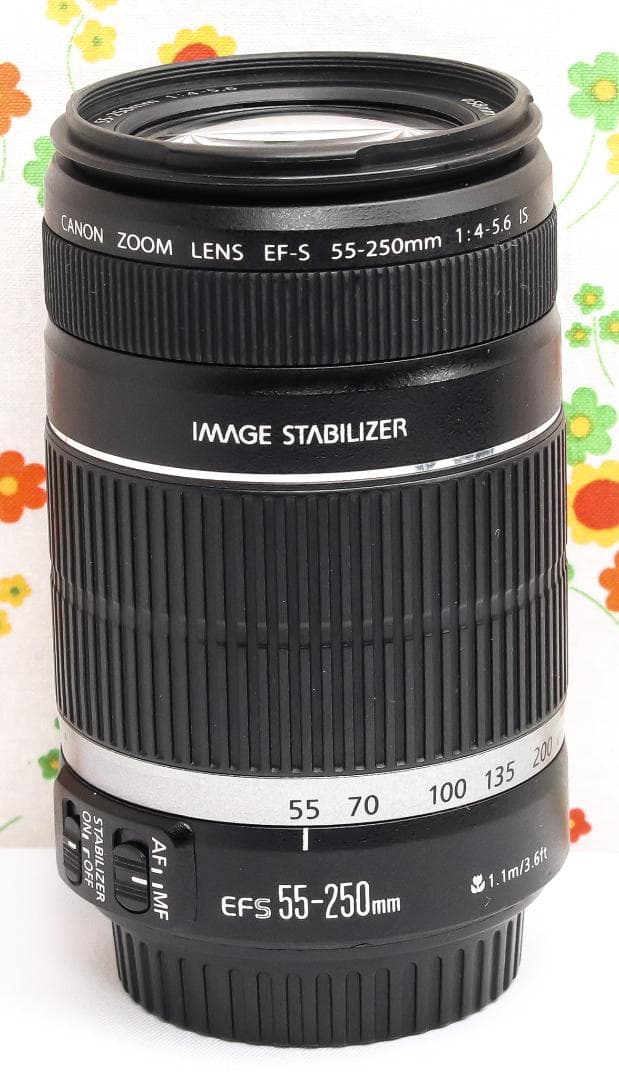 美品 キャノン Canon EF-S 55-250mm IS☆お手軽望遠レンズ♪