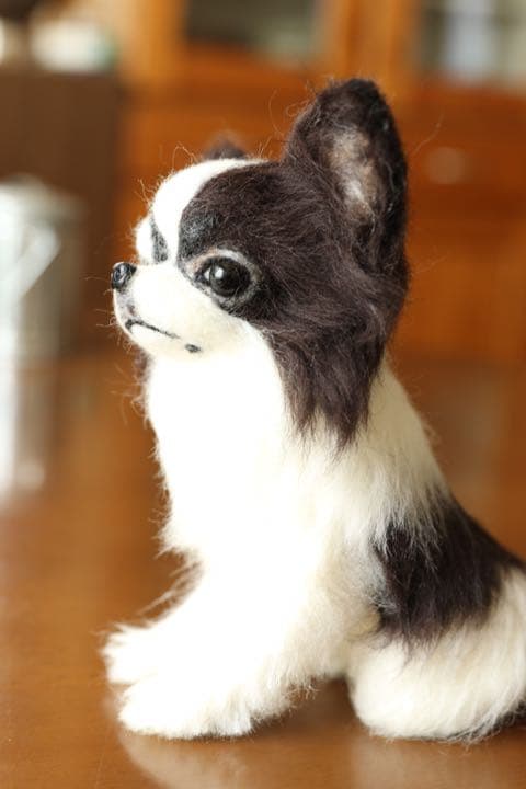 羊毛フェルト　ロングコートチワワ
