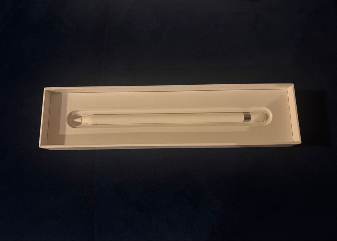 【新品未使用】Apple Pencil MK0C2AM/A （MK0C2J/A）