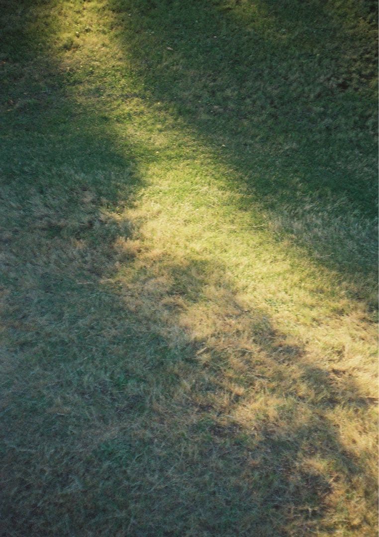 動作確認 FUJICA Half フジカ ハーフ ハーフカメラ　フィルムカメラ