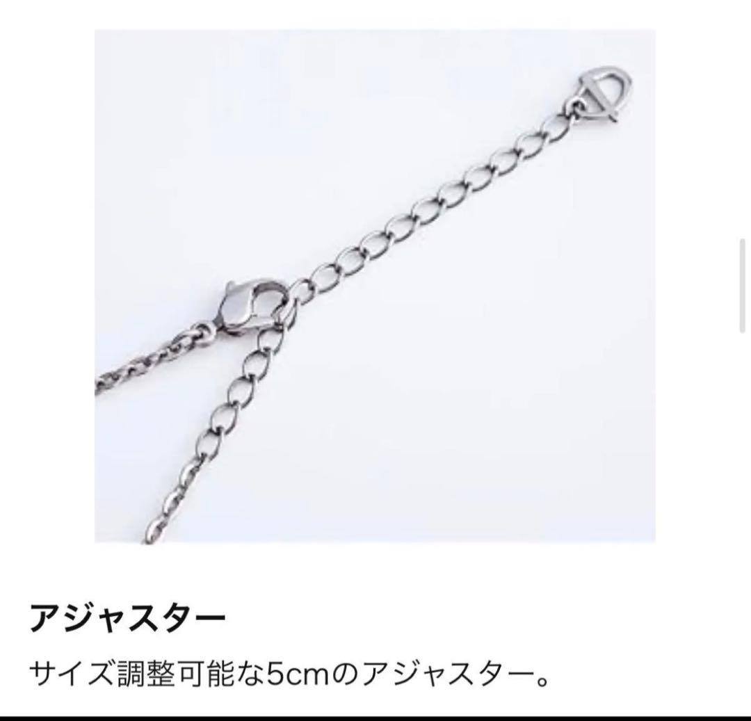 ファイテン 純チタン ネックレス 約50cm