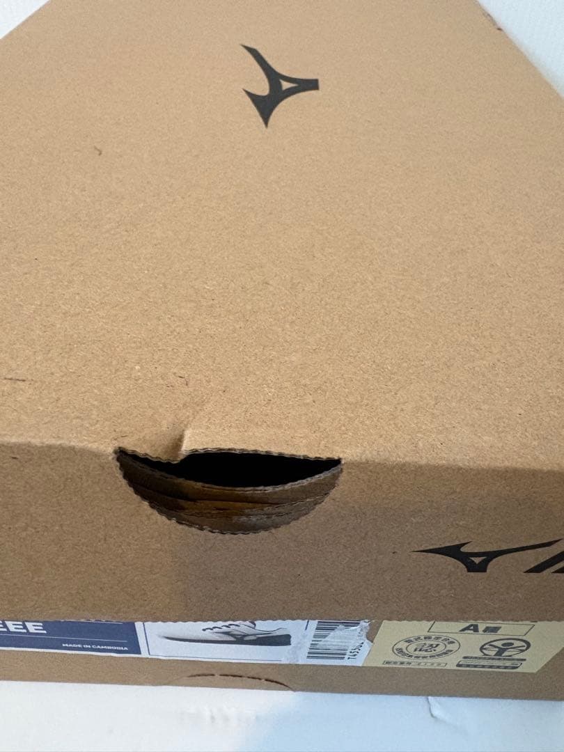 新品 Mizuno 安全靴 LSII11L 28.0cm ホワイト