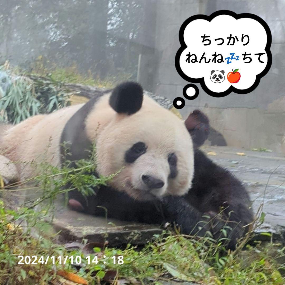 2025年☆明けましておめでとうございます☆