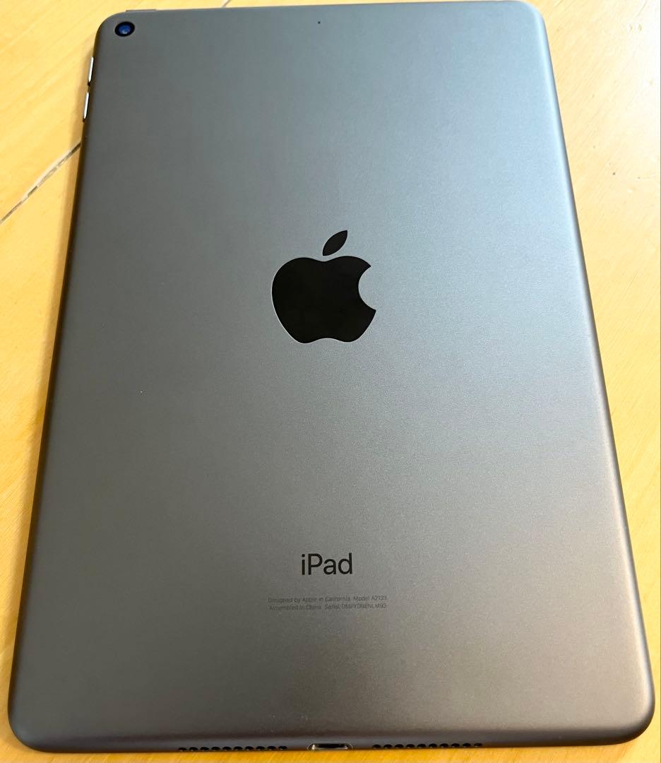 Apple iPad mini 第5世代　ブラック 本体のみ 表示不良あり