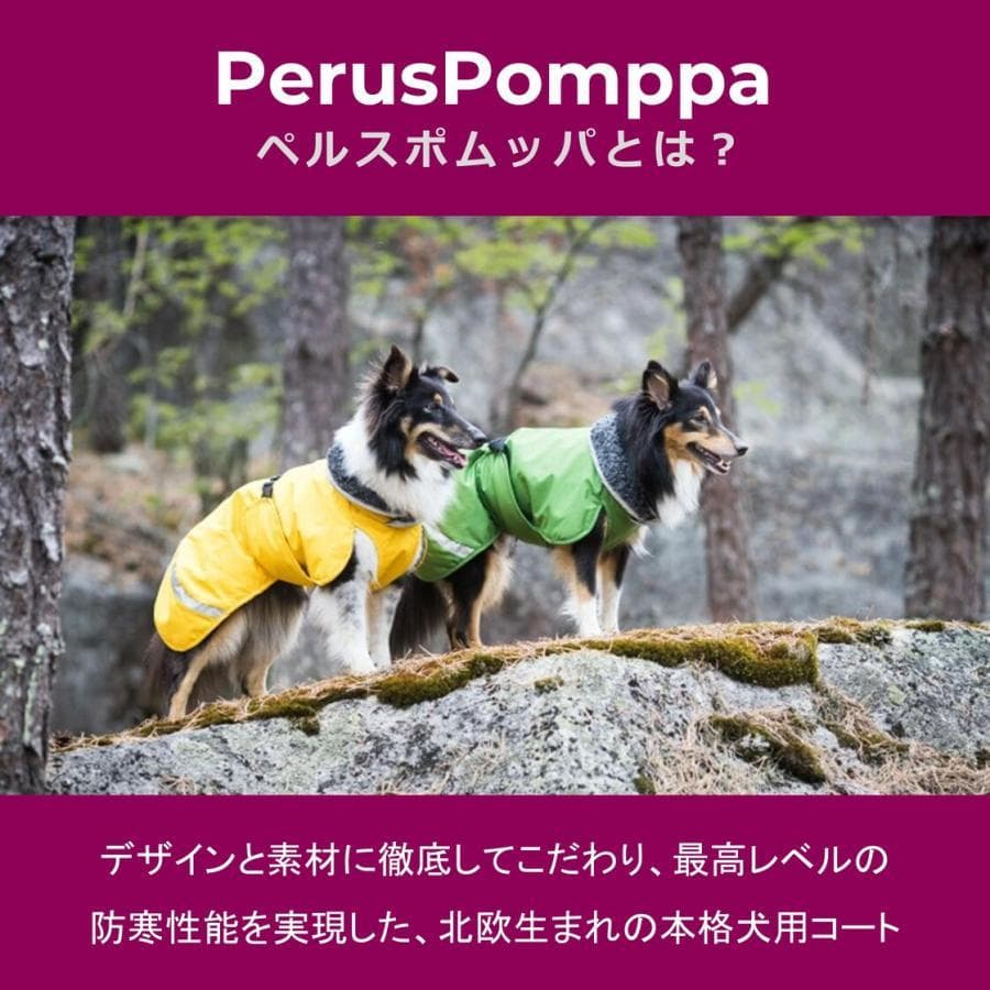 ポムッパ　ペルス　ペトロール　サイズ60
