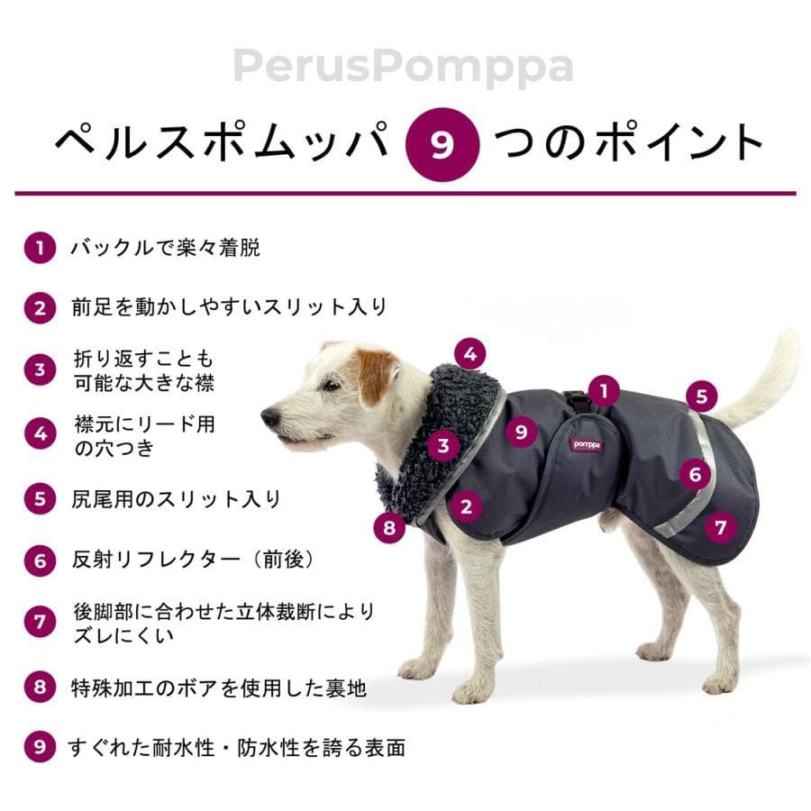 ポムッパ　ペルス　ペトロール　サイズ60
