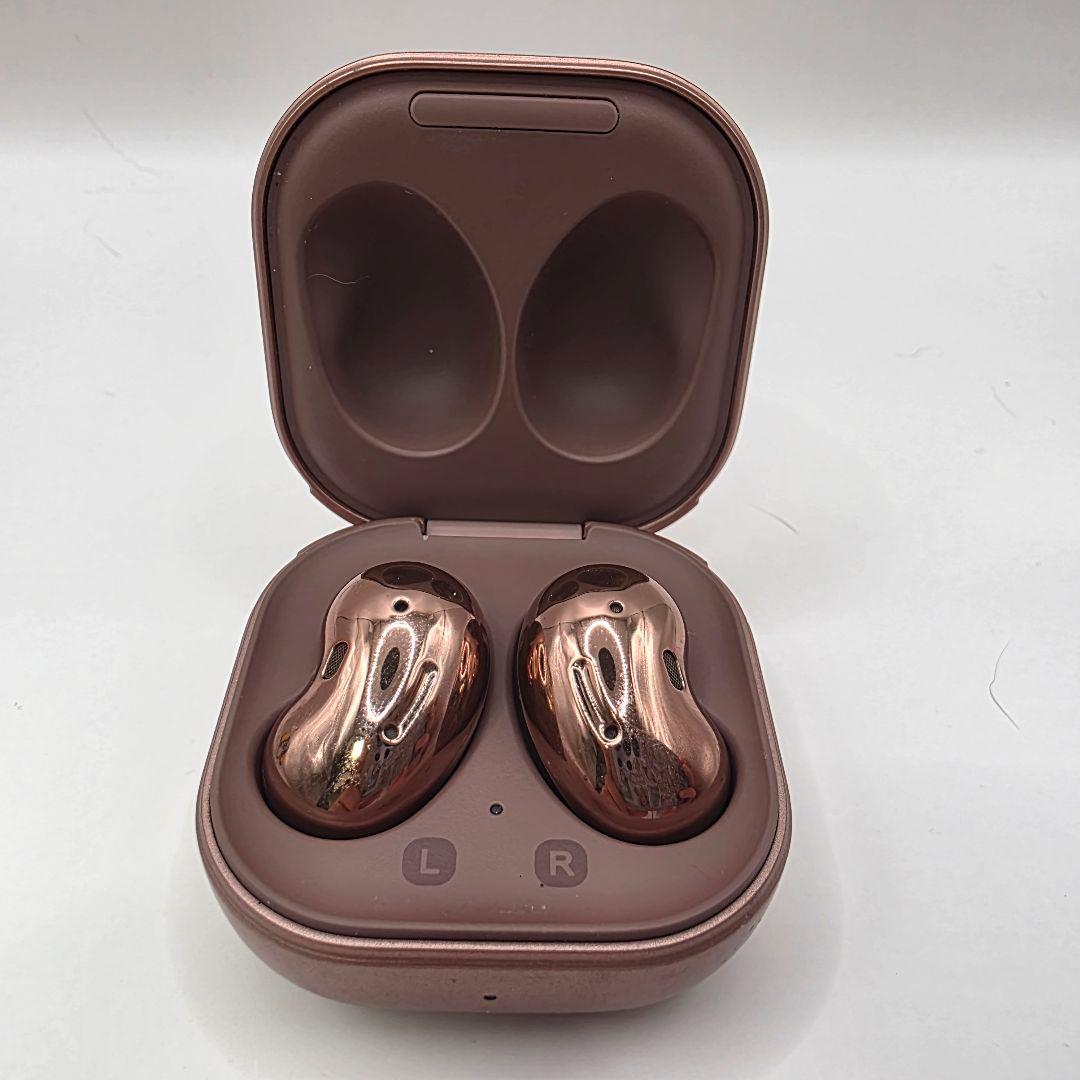 ポケモン　POKEMON　GALAXY Buds イヤホン　ポケパーク