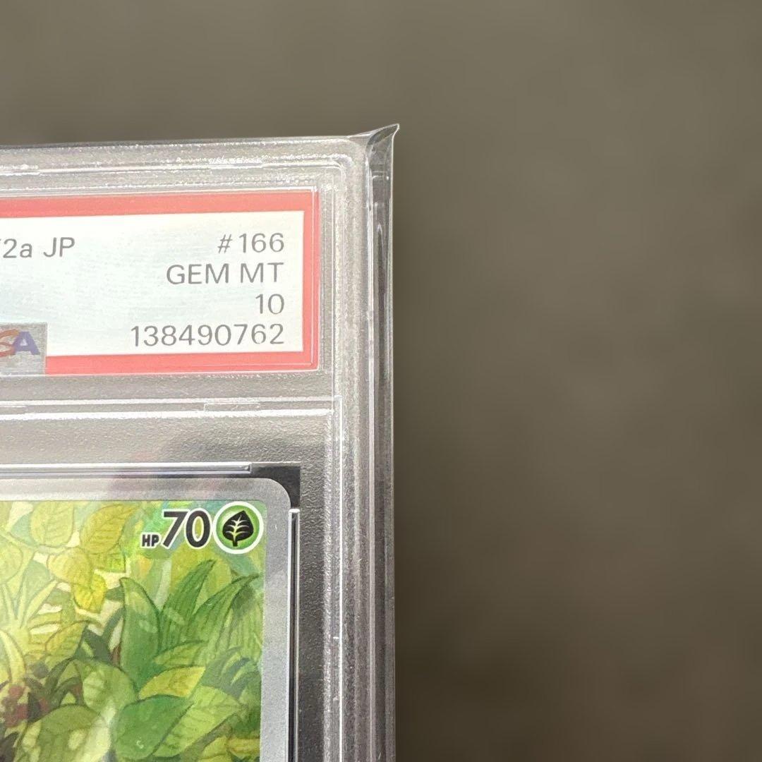 2023 ポケモンカード バルバサウルス #166 ART RARE