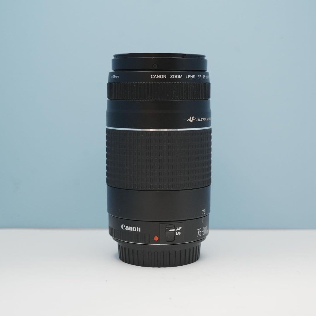 Canon純正 75-300mm 望遠レンズ 極美品 a5203