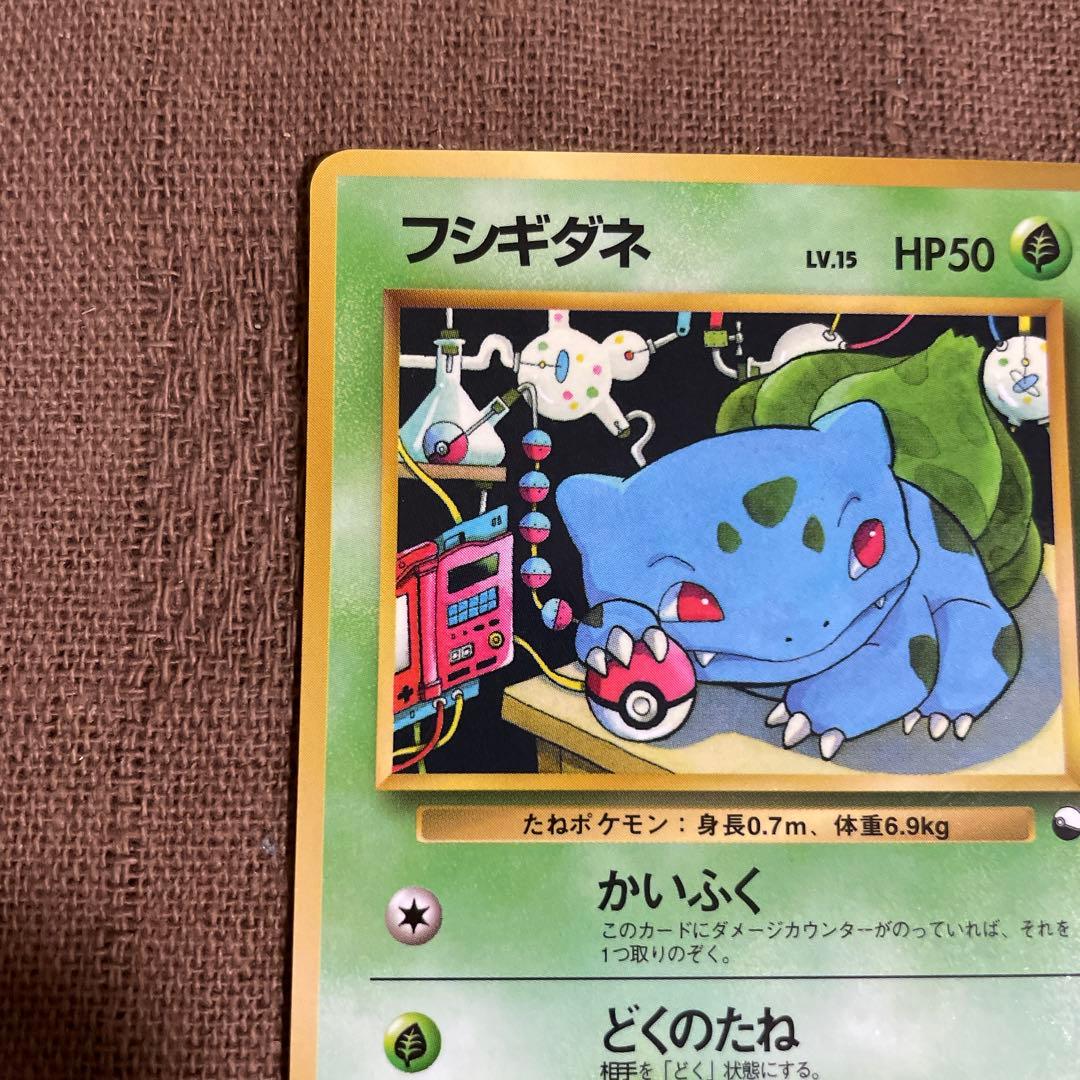 ポケモン　旧裏　フシギダネ　ヒトカゲ 拡張シート
