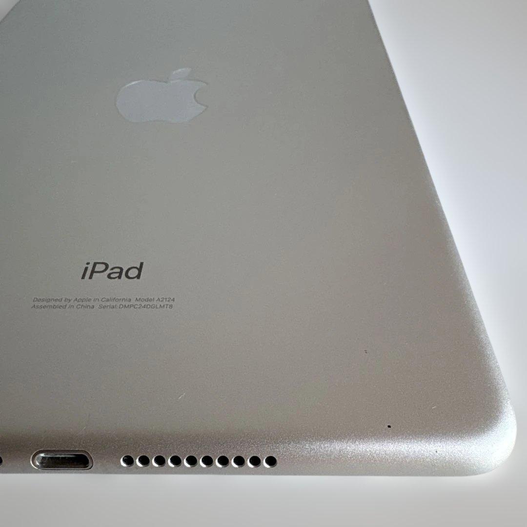 iPad mini5 セルラー 64GB SIMフリー　(74)