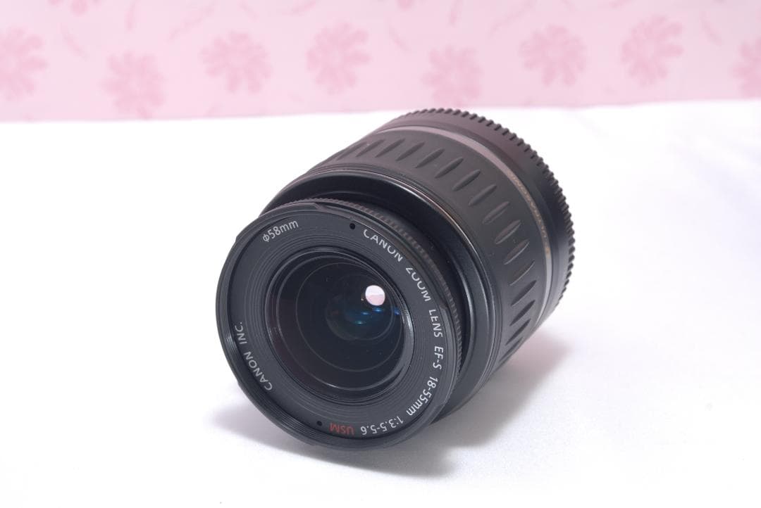 ⭐️カメラバッグ付き⭐️Canon EOS 70D キャノン　デジタル一眼レフ
