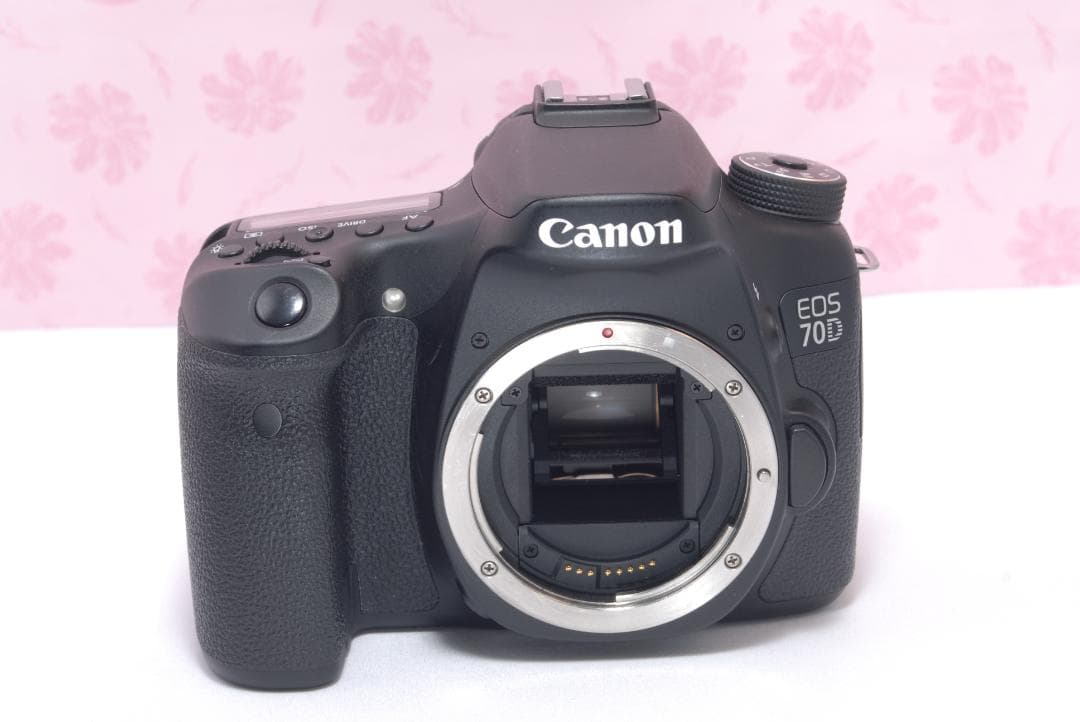 ⭐️カメラバッグ付き⭐️Canon EOS 70D キャノン　デジタル一眼レフ
