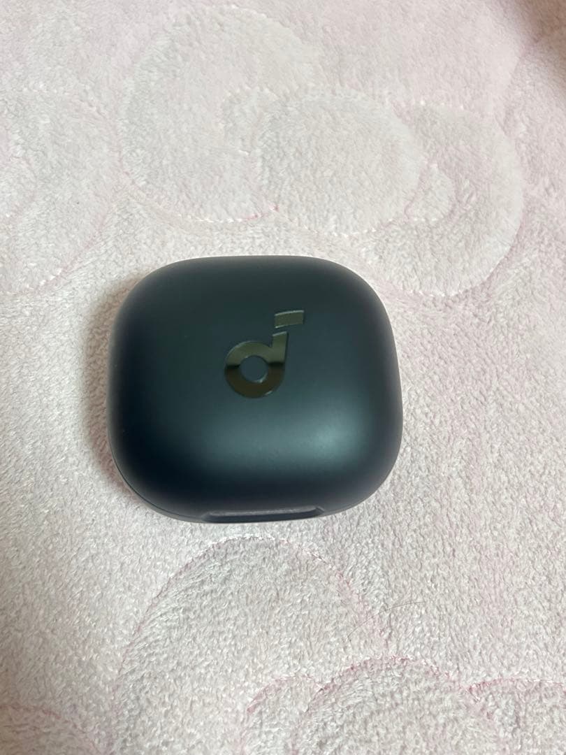 Anker Soundcore P40i両耳イヤホン