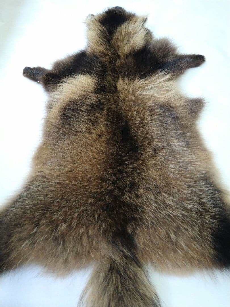 タヌキ 鞣し済み皮