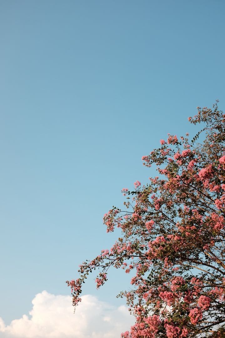 FUJIFILM X100T シルバー