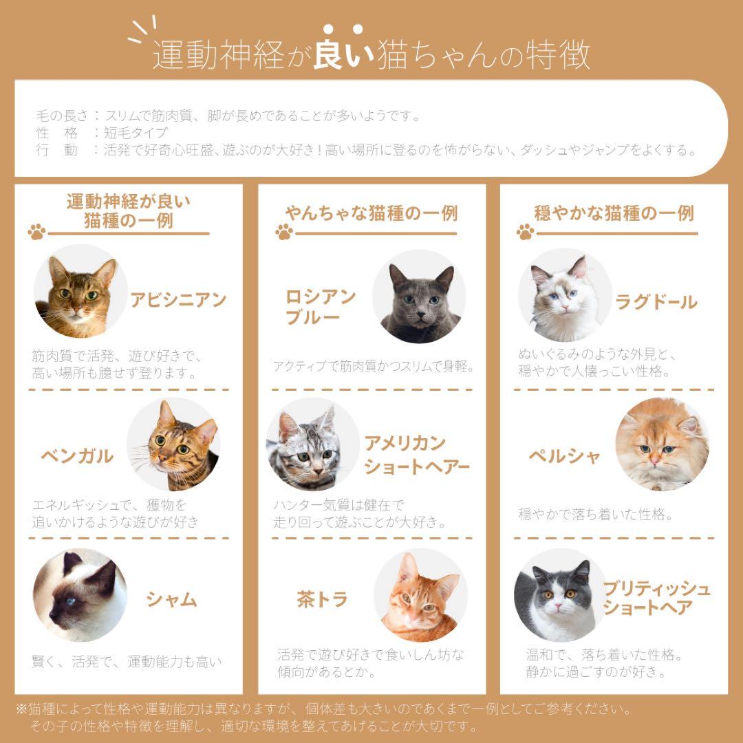 【改良版／展示品】猫　脱走防止ゲート　高さ186.5cm　突っ張り式ライトグレー