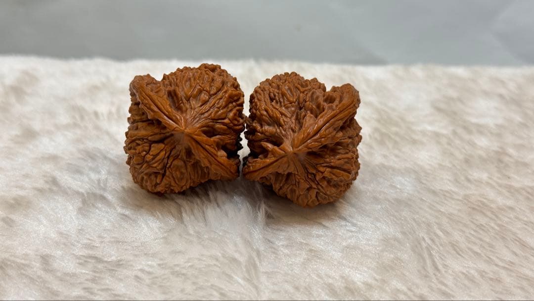 37逐鹿南疆